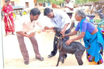 SPVP Project conducted by Ramakrishna Math Chennai (Ulundurpet)