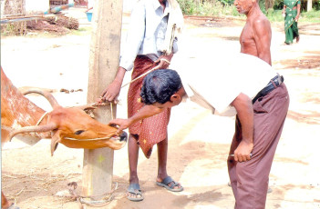 SPVP Project conducted by Ramakrishna Math Chennai (Ulundurpet)