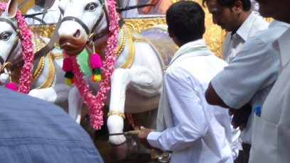 Vivekananda Ratha Yatra in Karnataka (Chikabalapur City)