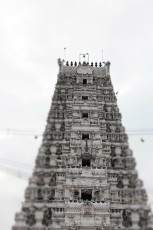 Vivekananda Ratha Yatra in Tamil Nadu (Kanchipuram Dist 11.12 (31)