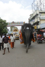 Vivekananda Ratha Yatra in Tamil Nadu (Tuticorin Dist 28.08.2013)