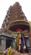 Vivekananda Ratha Yatra in Karnataka (Mysore District)