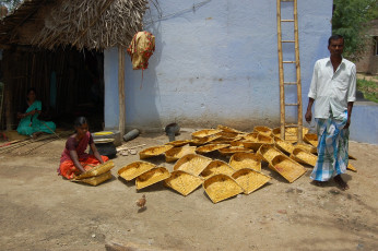 AKSP Project conducted by Ramakrishna Math Nattarampalli